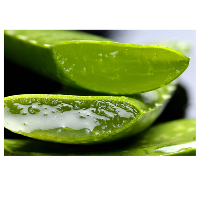 Pure Aloe Vera Extract